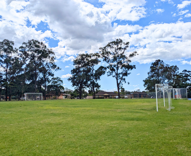 School playing field