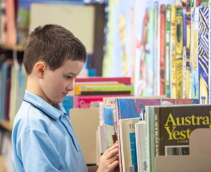 A student looking at books on a library book shelf.