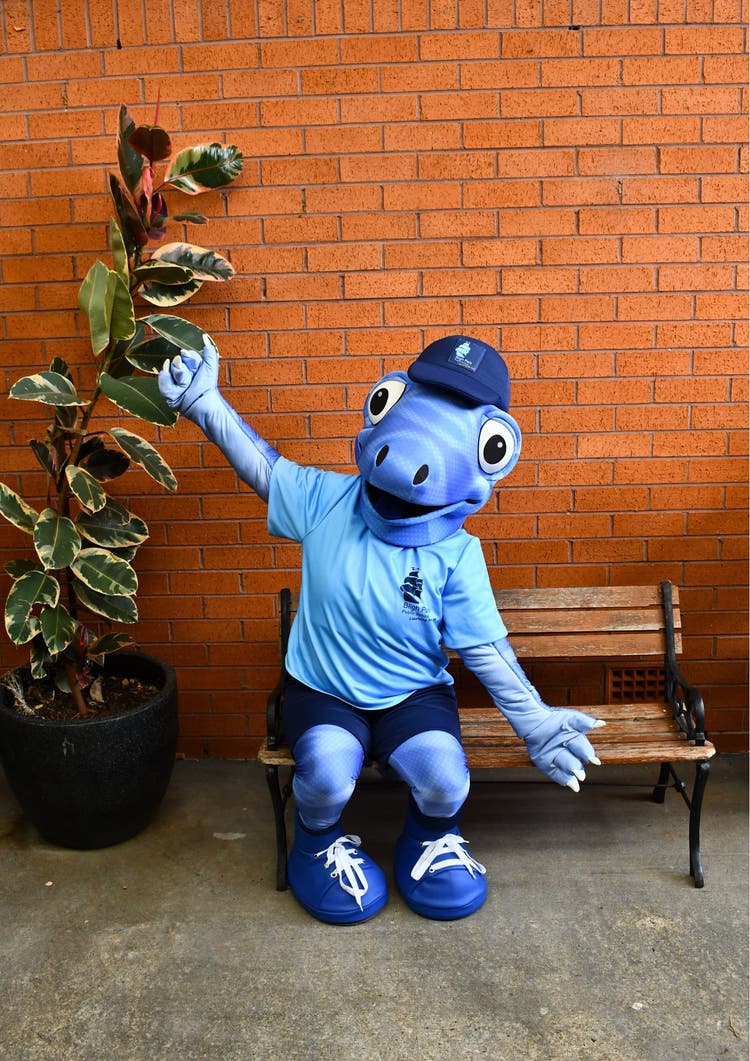 Bluey, the school mascot, sitting on a seat near a brick wall and a pot plant